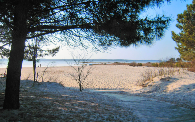 Arcachon et le Moulleau, escapade gourmande insolite et rencontres locales