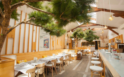 Plongée au moulleau entre saveurs, balades secrètes et ambiance élégante